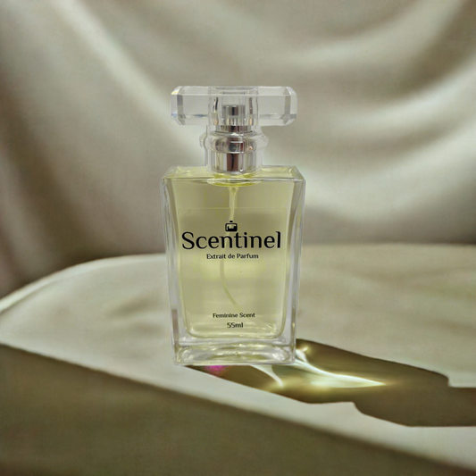 Inspired by Yves Saint Laurent - Opium (F) 55ml