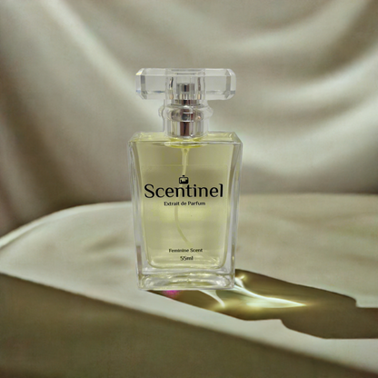Inspired by Dana - Tabu (F) 55ml
